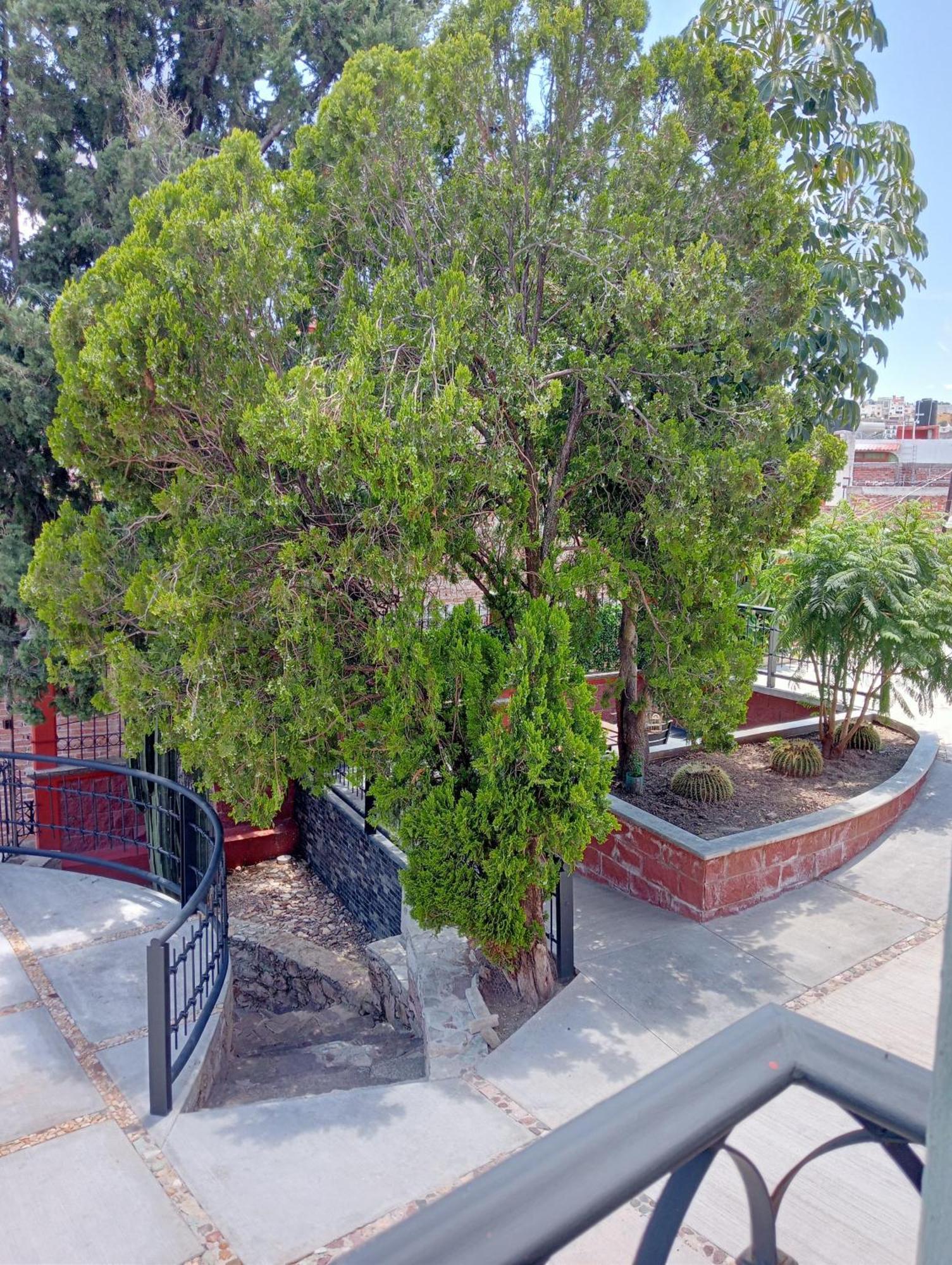 Quinta Mercedes Guanajuato Exterior photo